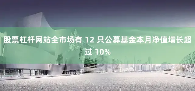 股票杠杆网站全市场有 12 只公募基金本月净值增长超过 10%