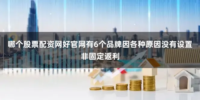 哪个股票配资网好官网有6个品牌因各种原因没有设置非固定返利